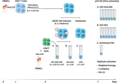 Reliable Estimation of CD8 T Cell Inhibition of In Vitro HIV-1 Replication